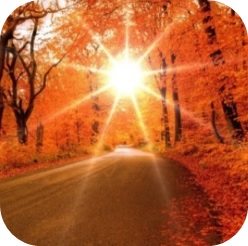 ☆きれいになる秘訣 11月NO4☆秋冬のつやつやの素肌を作る方法　　　　　　　　　